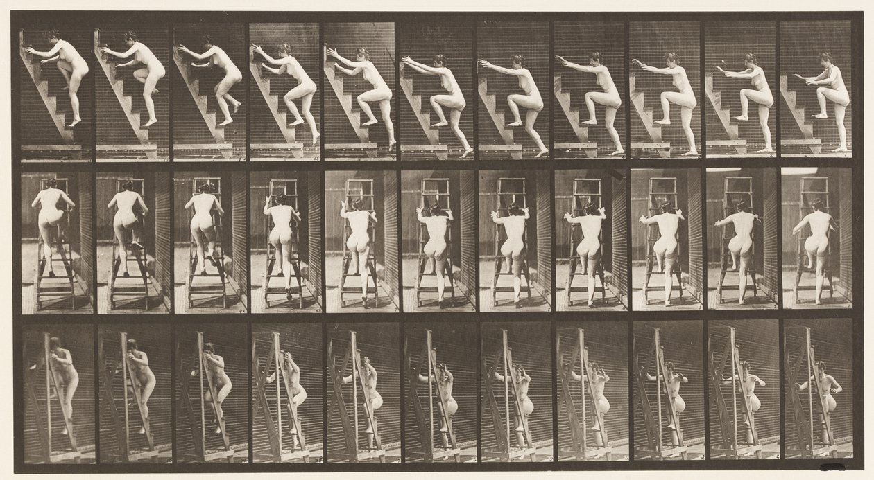 Talíř 110. Vzestupný žebřík, dva kroky najednou od Eadweard Muybridge