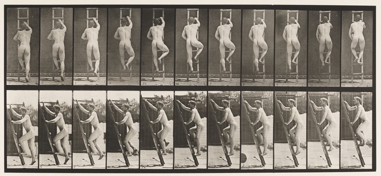 Deska 111. Vzestupný žebřík od Eadweard Muybridge