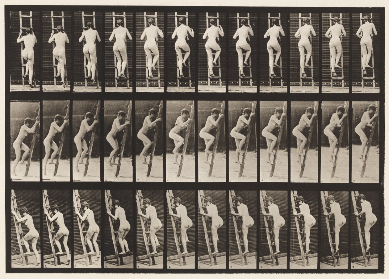 Deska 112. Vzestupný žebřík od Eadweard Muybridge