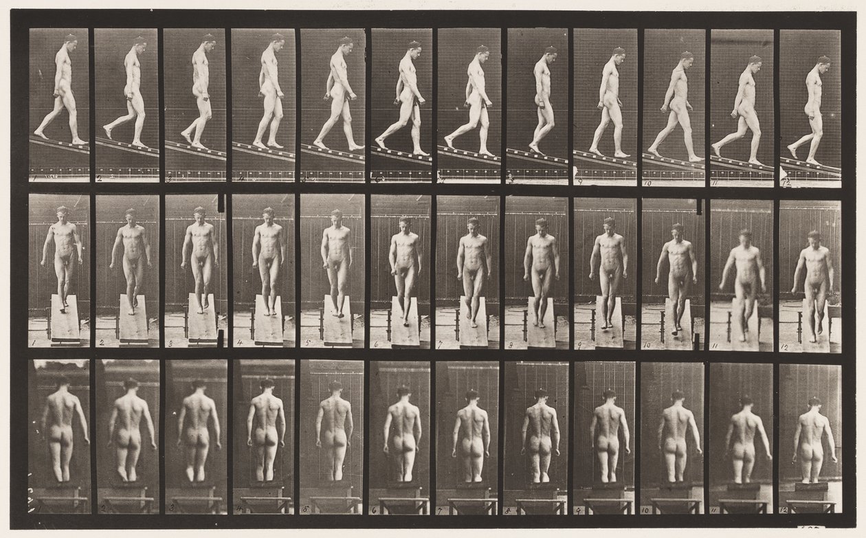 Deska 114. Sestupný sklon, úhel 1:4, 1872-1885 od Eadweard Muybridge