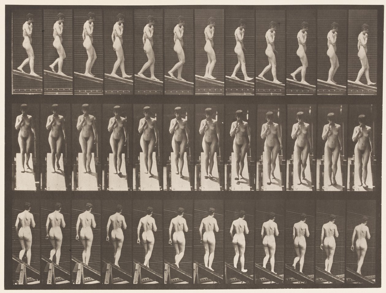 Talíř 116. Sestupný sklon, Jedna ruka Na bradě od Eadweard Muybridge