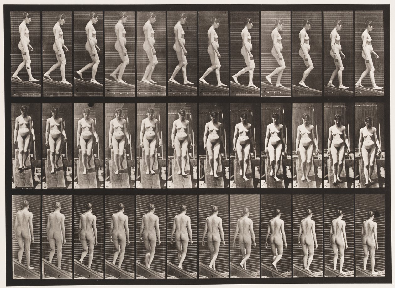 Deska 117. Sestupný sklon, 1872-1885 od Eadweard Muybridge