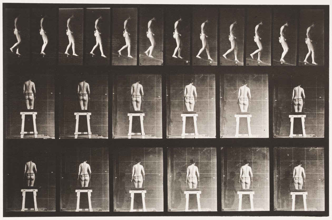 Talíř 118. Sestupný sklon od Eadweard Muybridge