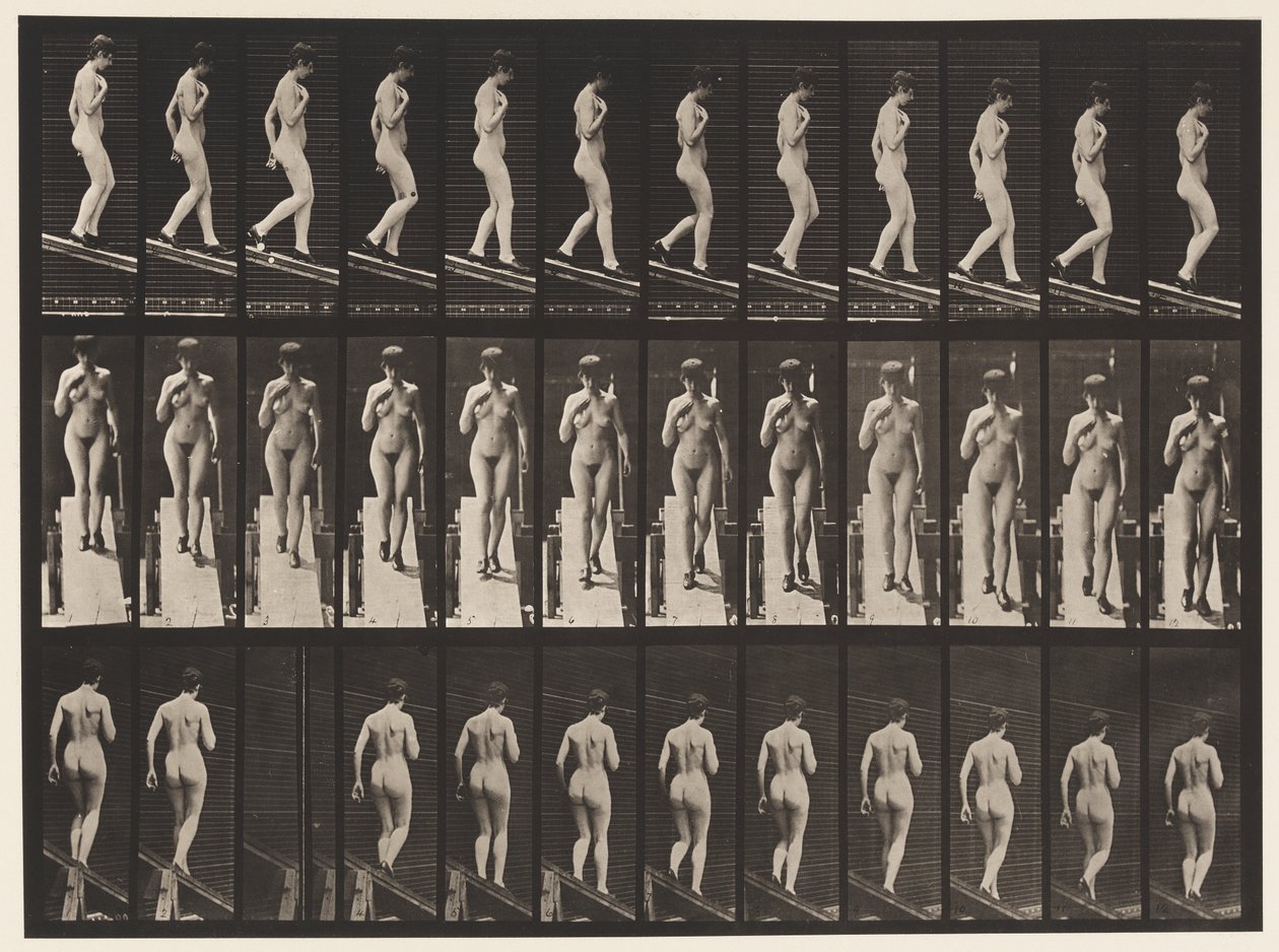 Talíř 119. Sestupný sklon, pravá ruka na prsou (boty) od Eadweard Muybridge