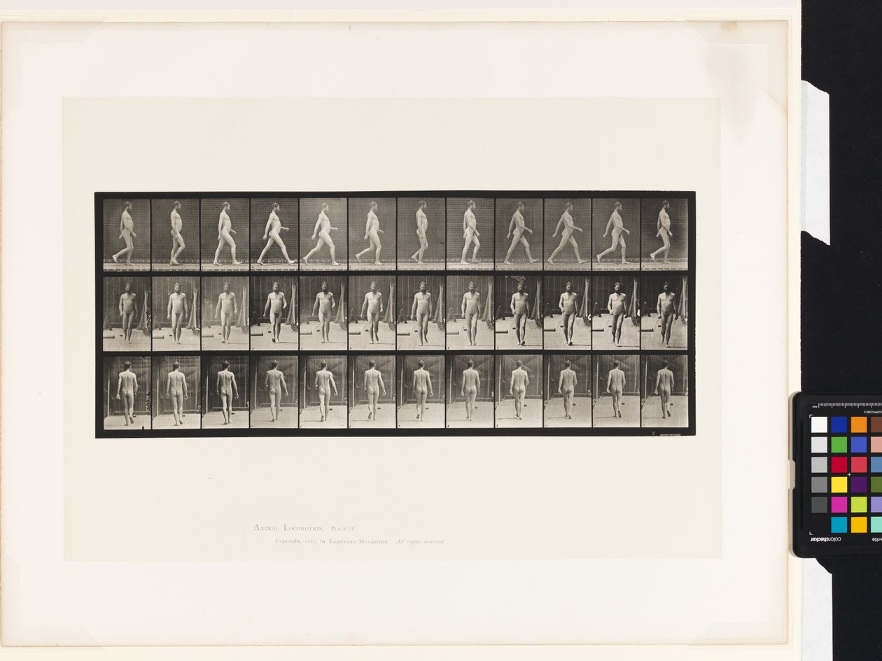 Talíř 11.Chůze od Eadweard Muybridge