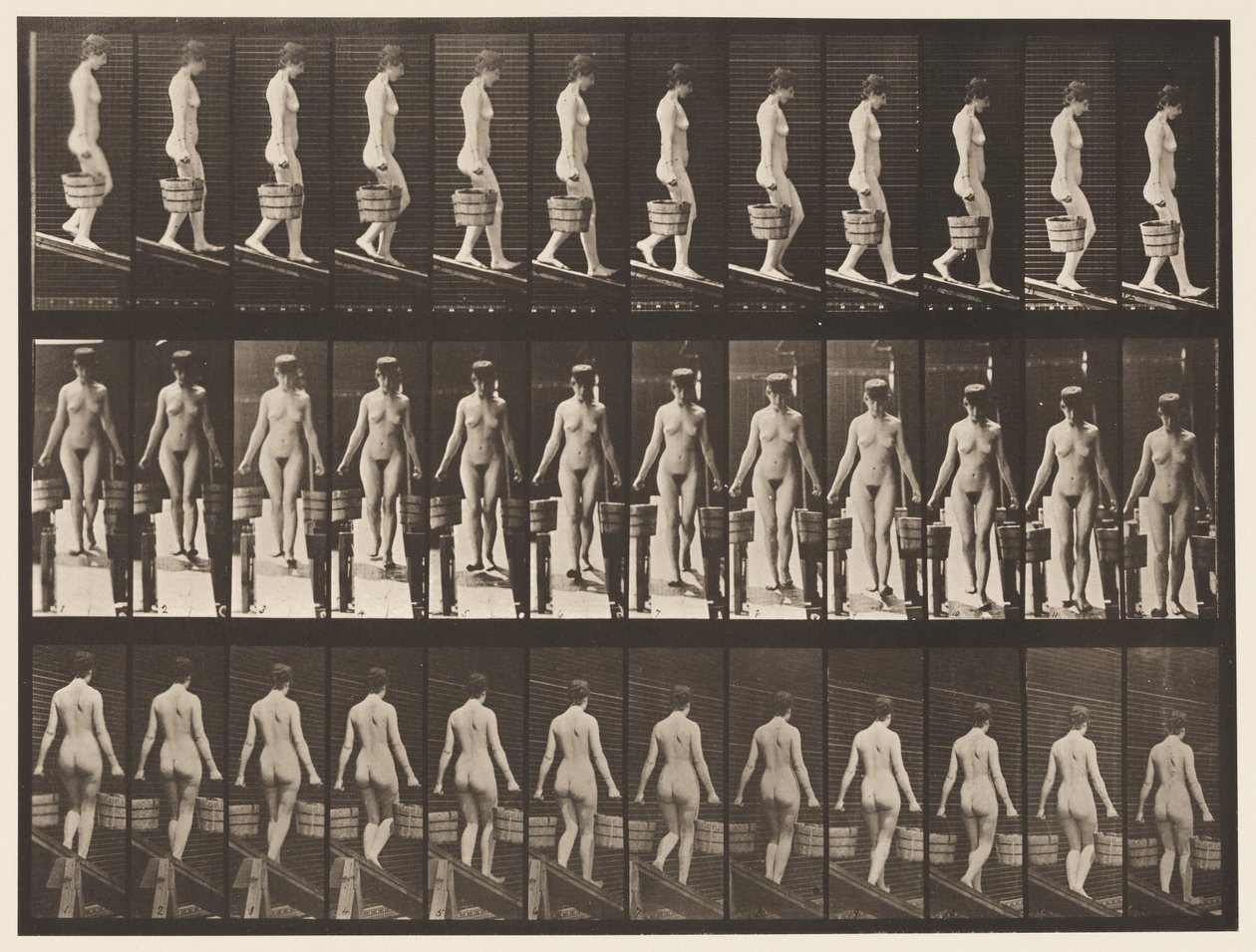 Talíř 122. Klesající sklon, vědro vody v každé ruce, 1872-1885 od Eadweard Muybridge