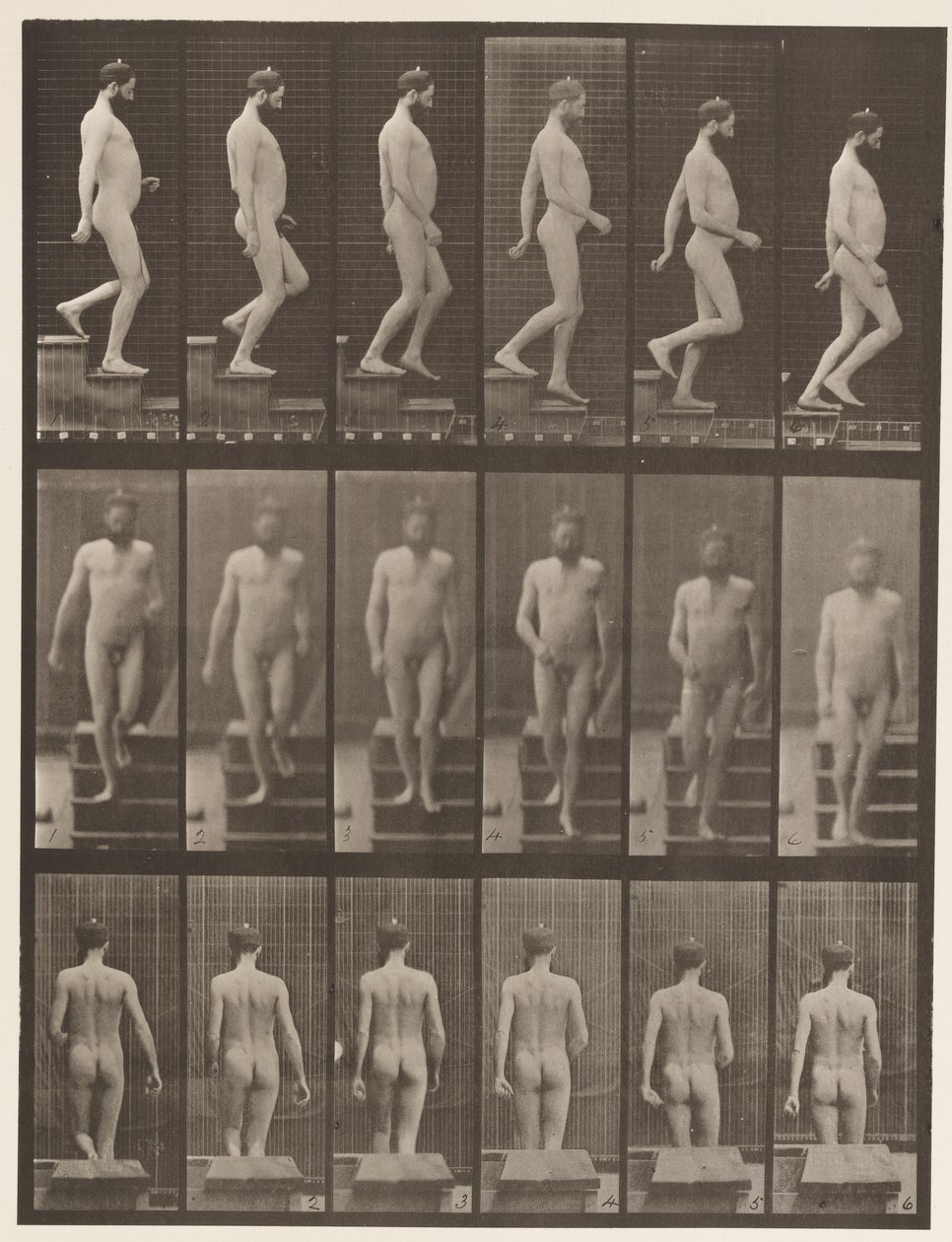 Deska 127. Sestupné schody, 1872-1885 od Eadweard Muybridge