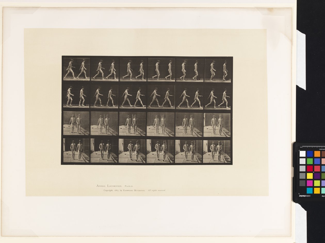 Talíř 12.Chůze od Eadweard Muybridge