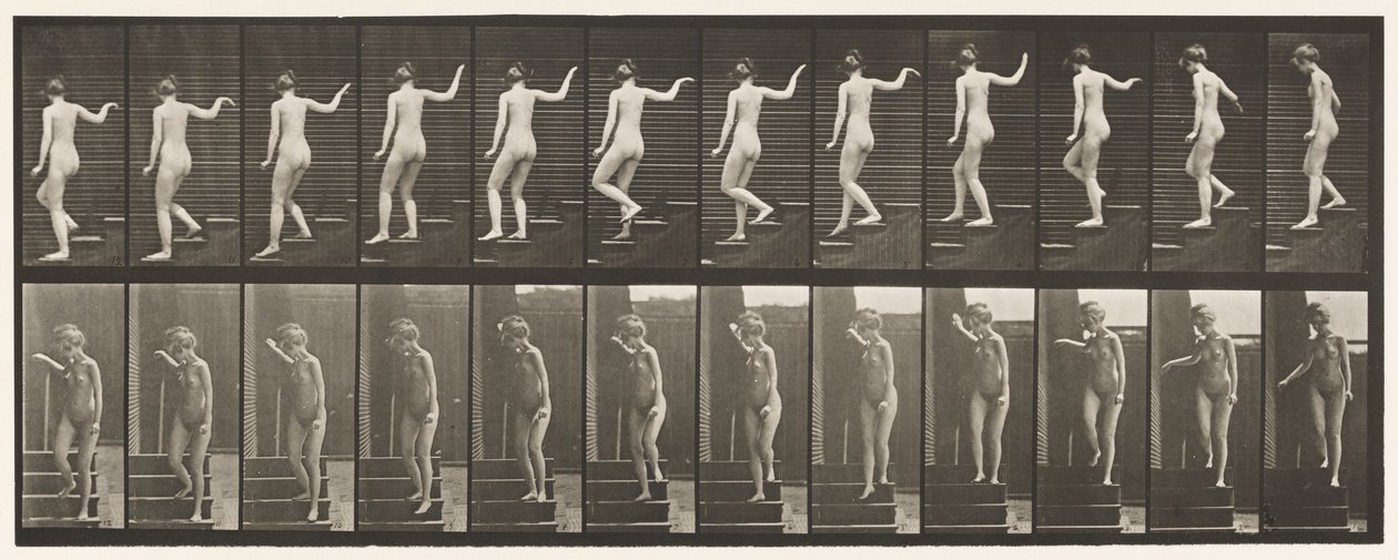 Talíř 132. Sestup po schodech, otočení, aby se rozhlédl a mávání rukou od Eadweard Muybridge