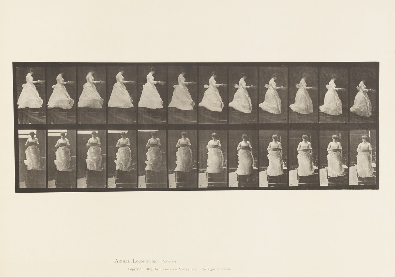 Deska 134. Sestupné schody, S umyvadlem v rukou od Eadweard Muybridge