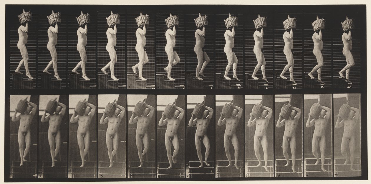 Talíř 136. Sestupné schody Plný demižon na rameni, 1872-1885 od Eadweard Muybridge