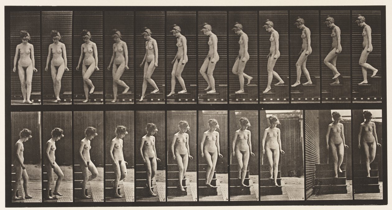 Talíř 137. Sestupné schody, otočka od Eadweard Muybridge