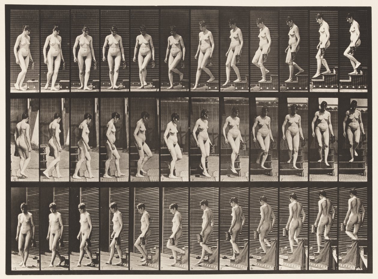 Talíř 138. Sestupné schody Soustružení; Džbán v levé ruce od Eadweard Muybridge