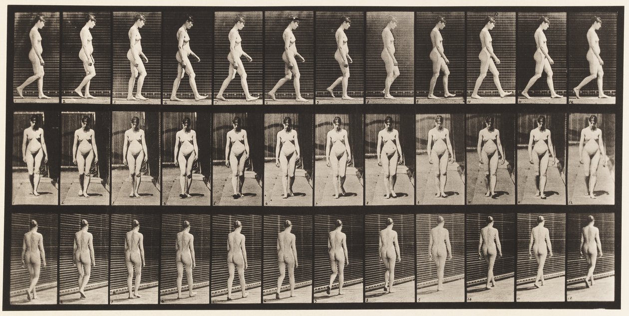 Talíř 13. Chůze, 1872-1885 od Eadweard Muybridge