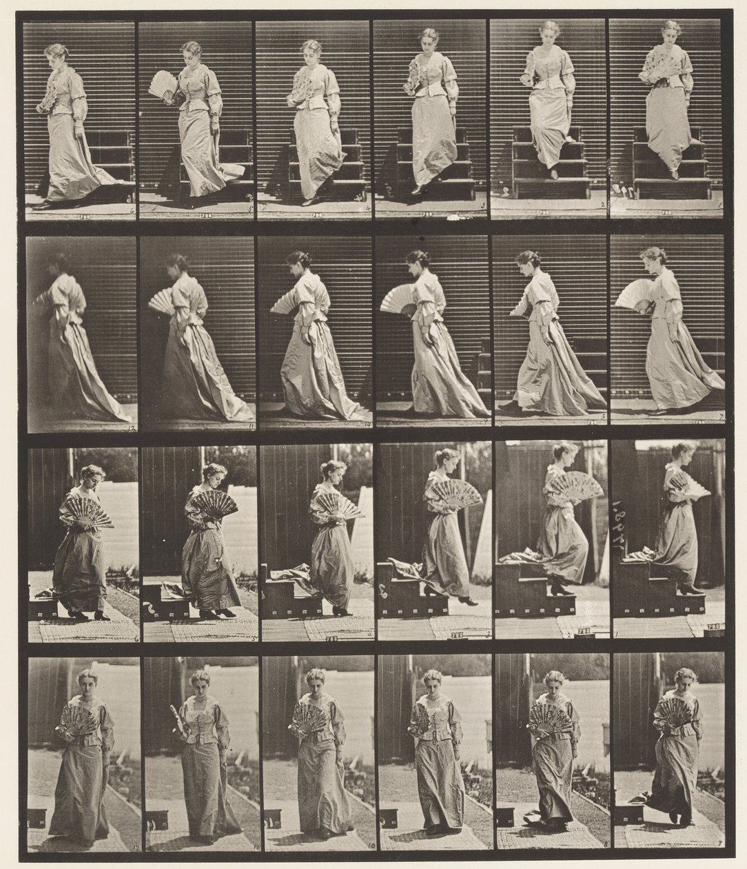 Talíř 141. Sestupné schody a Flirtující vějíř od Eadweard Muybridge