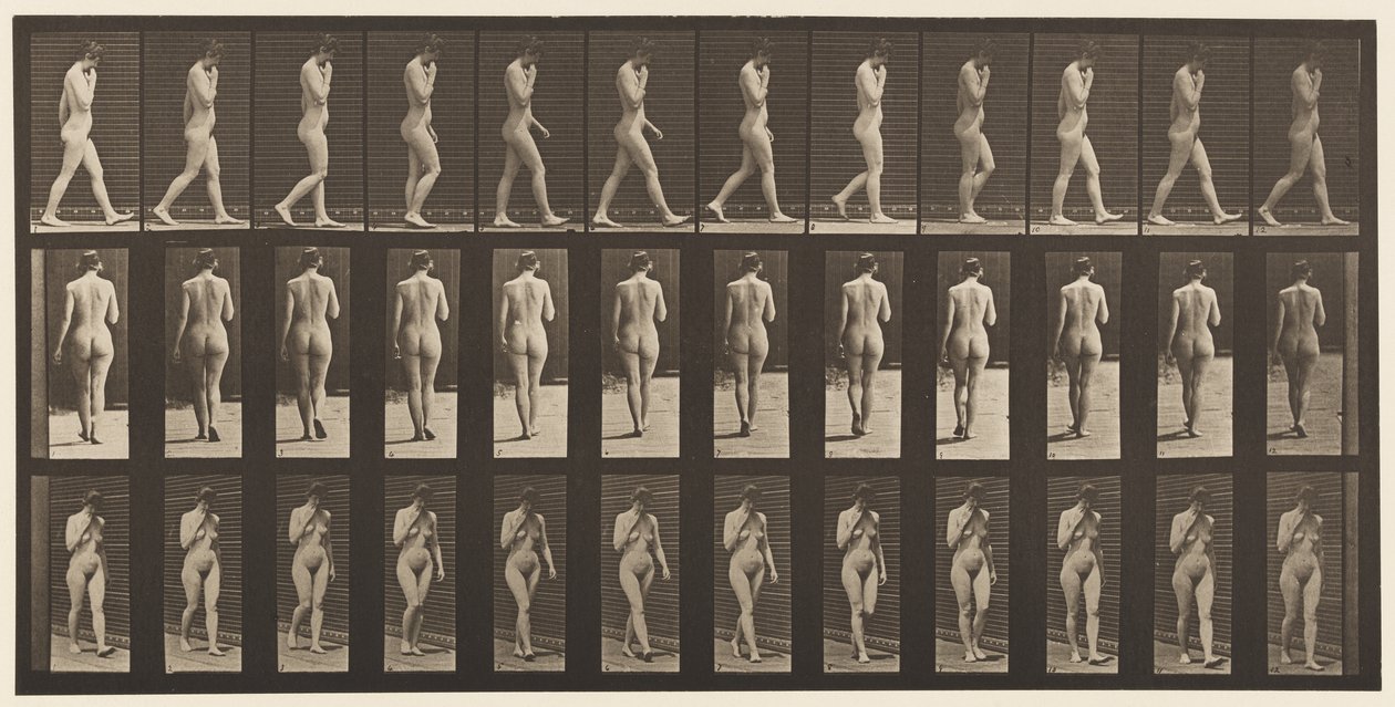 Talíř 14. Chůze, pravá ruka u brady, 1872-1885 od Eadweard Muybridge