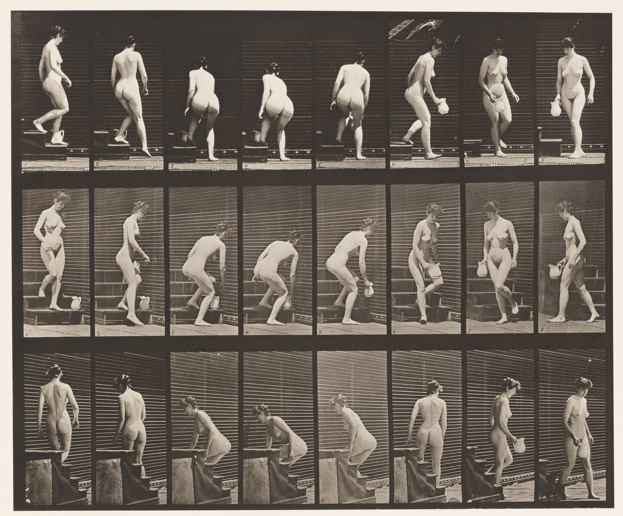Talíř 150. Sestupné schody; Sklánění, zvedání džbánu, soustružení, 1872-1885 od Eadweard Muybridge