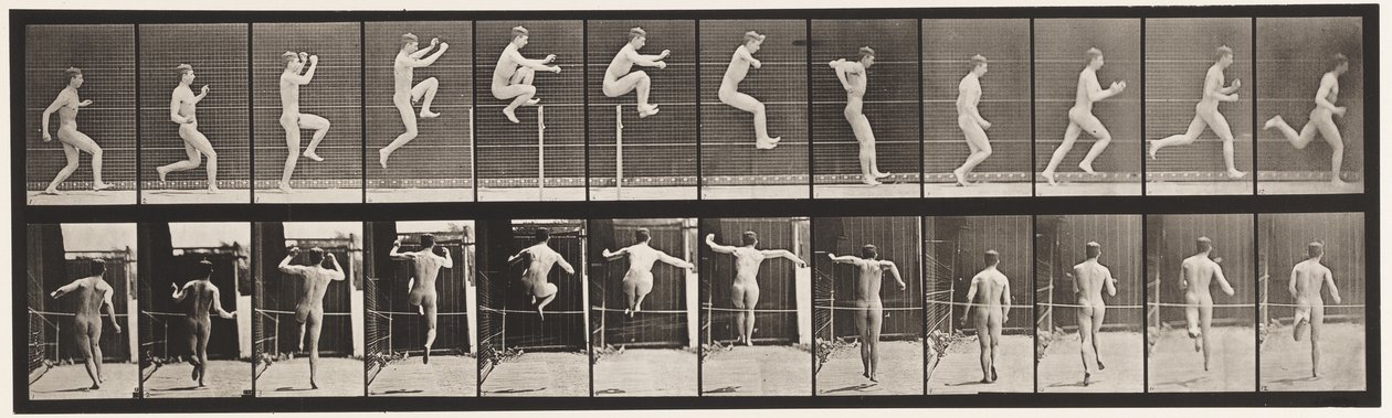 Talíř 154. Skákání; Rovný běh, skok vysoký od Eadweard Muybridge