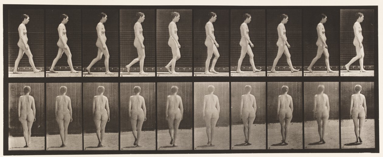 Talíř 15. Chůze od Eadweard Muybridge