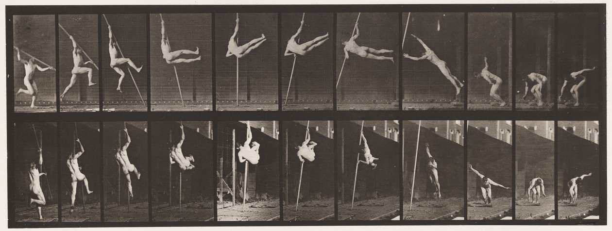 Talíř 164. Skákání; Skok o tyči, 1872-1885 od Eadweard Muybridge