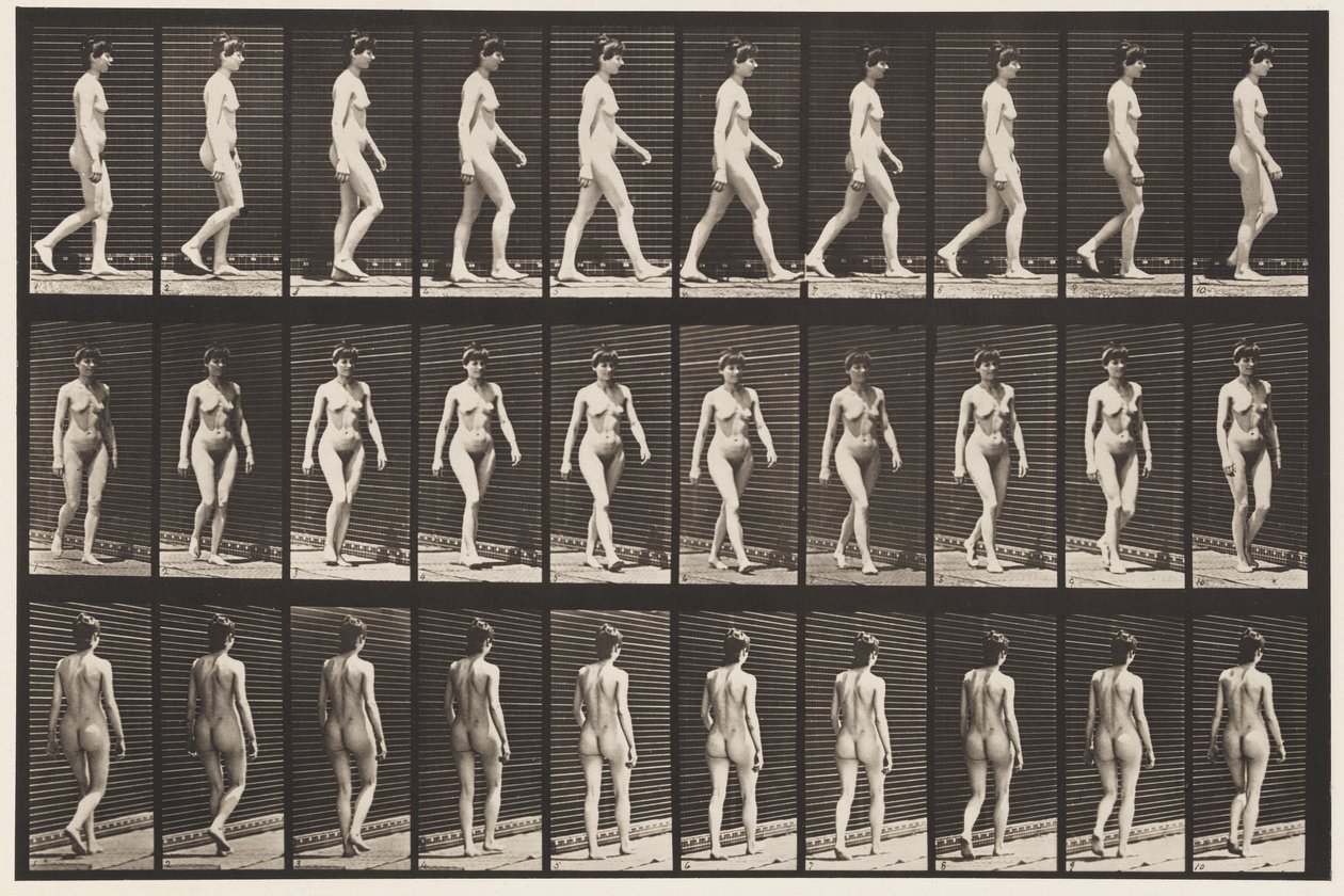 Talíř 16. Chůze, 1872-1885 od Eadweard Muybridge