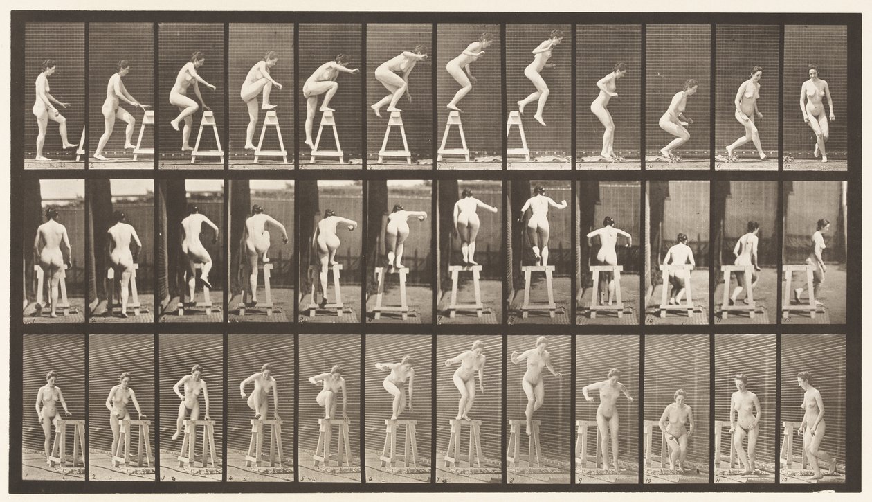 Talíř 171. Šlápnutí na kůl; Skákání dolů, otáčení od Eadweard Muybridge