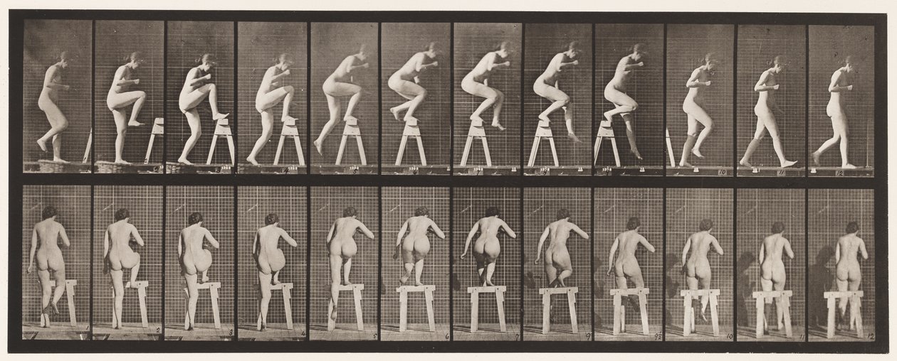 Talíř 178. Stoupání a přeskočení od Eadweard Muybridge