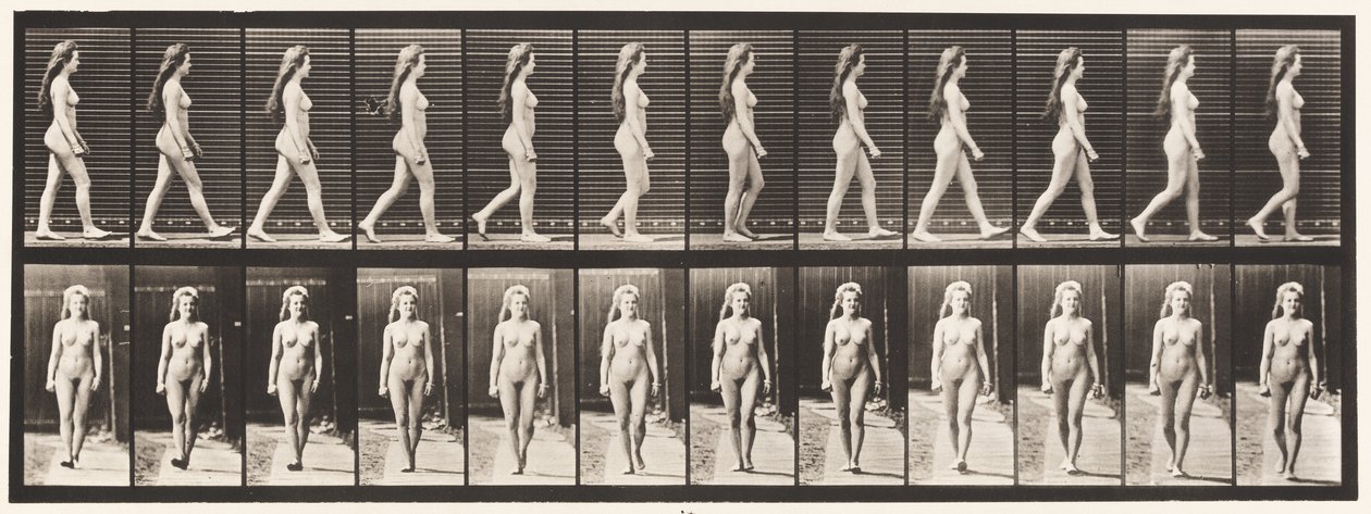 Talíř 17. Chůze, 1872-1885 od Eadweard Muybridge