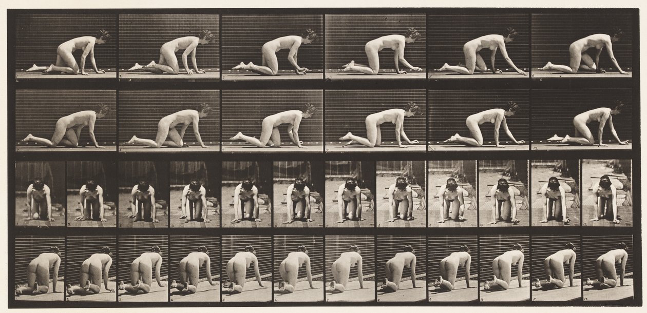 Talíř 182. Plazení po rukou a kolenou od Eadweard Muybridge
