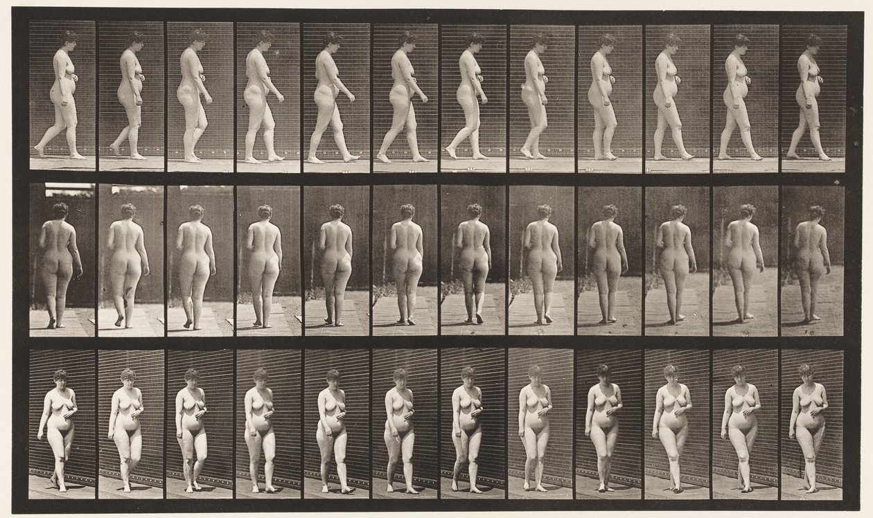 Talíř 18. Chůze, levá ruka přes břicho, 1872-1885 od Eadweard Muybridge
