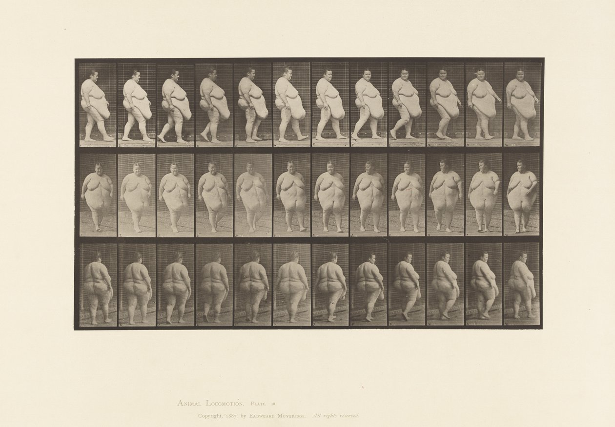 Talíř 19. Chůze, začátek otáčení od Eadweard Muybridge
