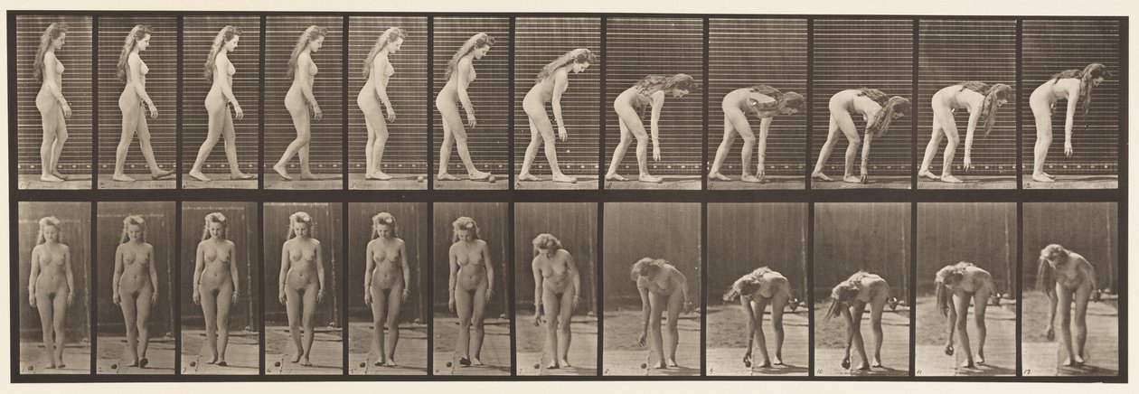 Talíř 204. Zastavení a vyzvednutí míče od Eadweard Muybridge