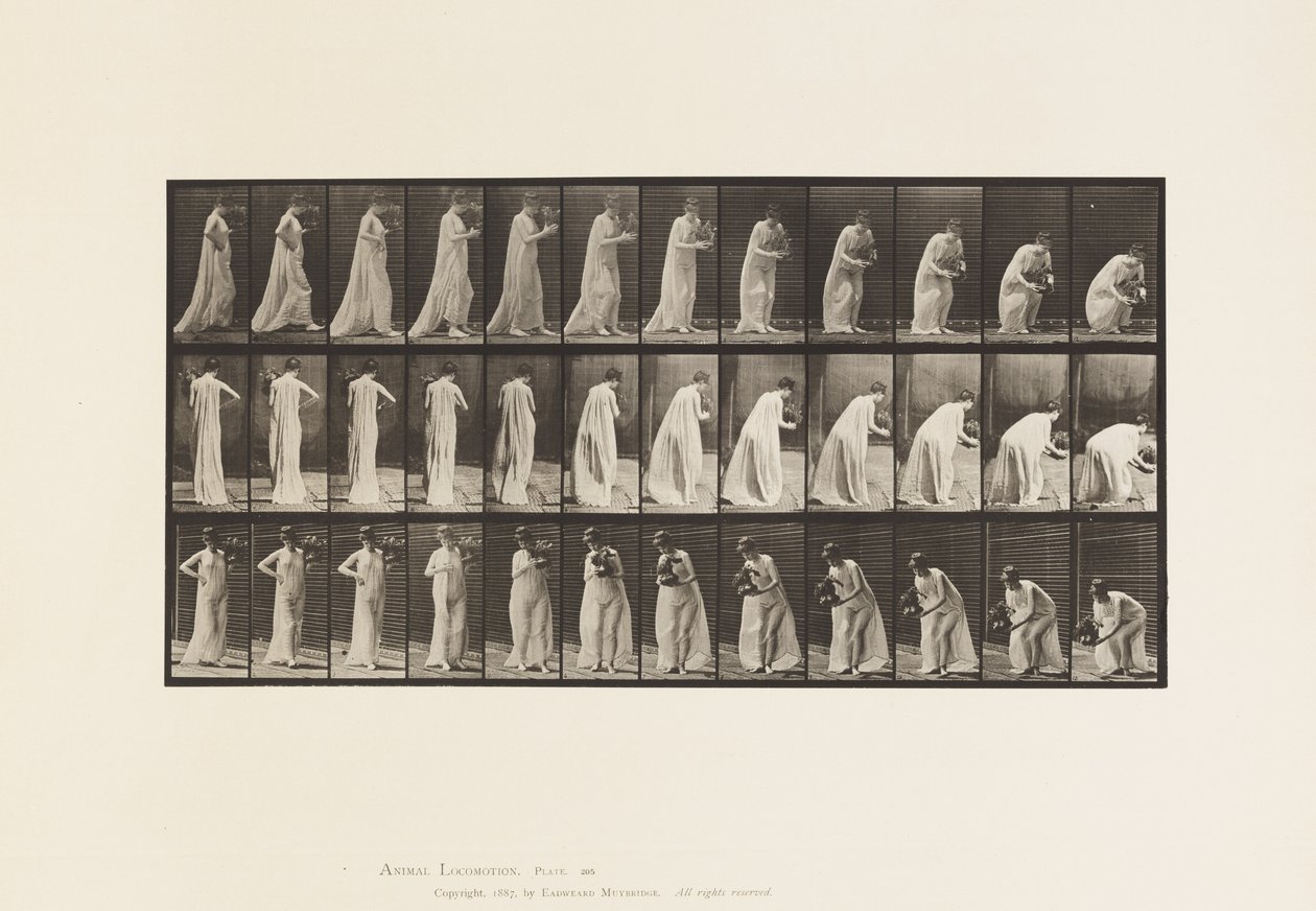 Talíř 205. Přenášení a sklápění s vázou, 1885 od Eadweard Muybridge