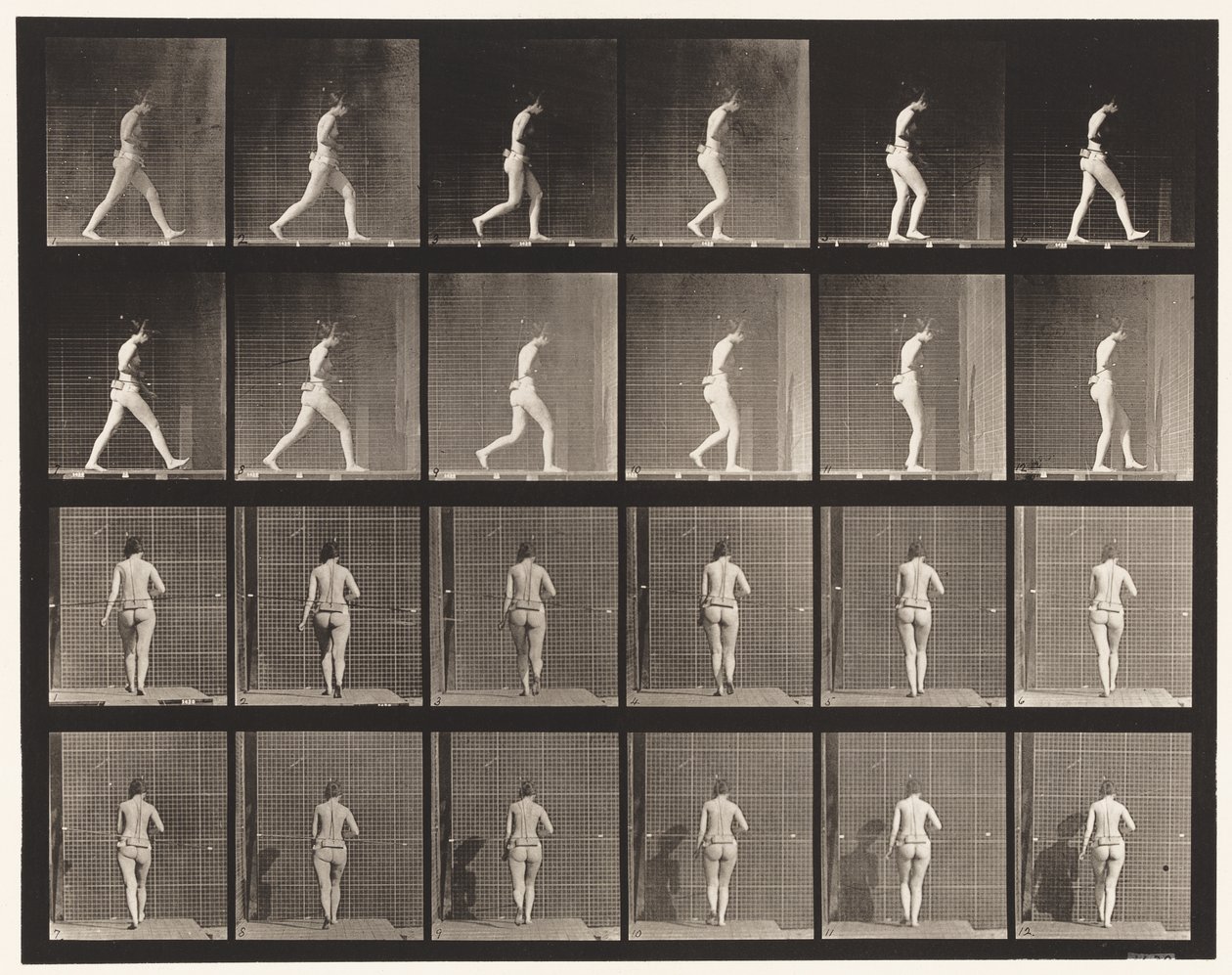 Talíř 20. Chůze, pravý loket ohnutý od Eadweard Muybridge