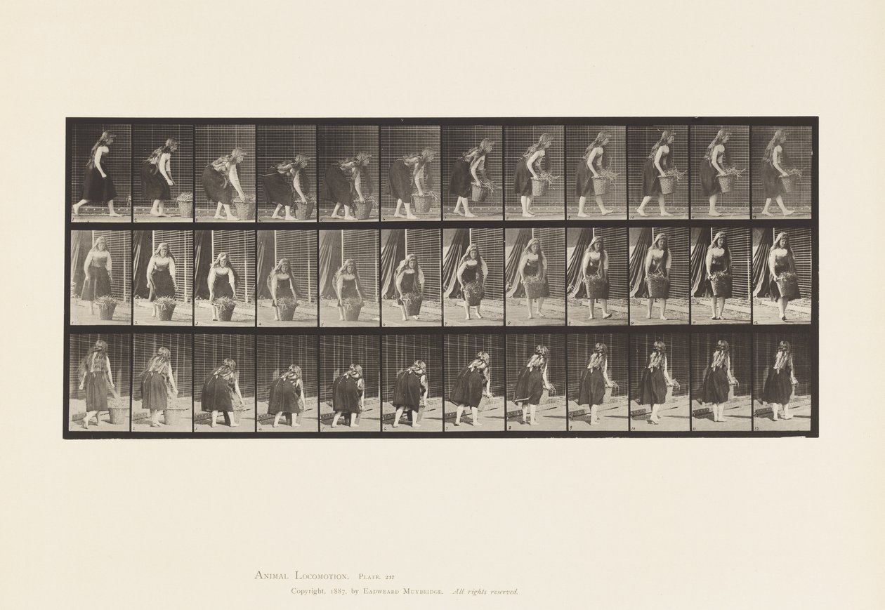 Talíř 217. Shýbání, zvedání a přenášení 30 lb koše, 1885 od Eadweard Muybridge