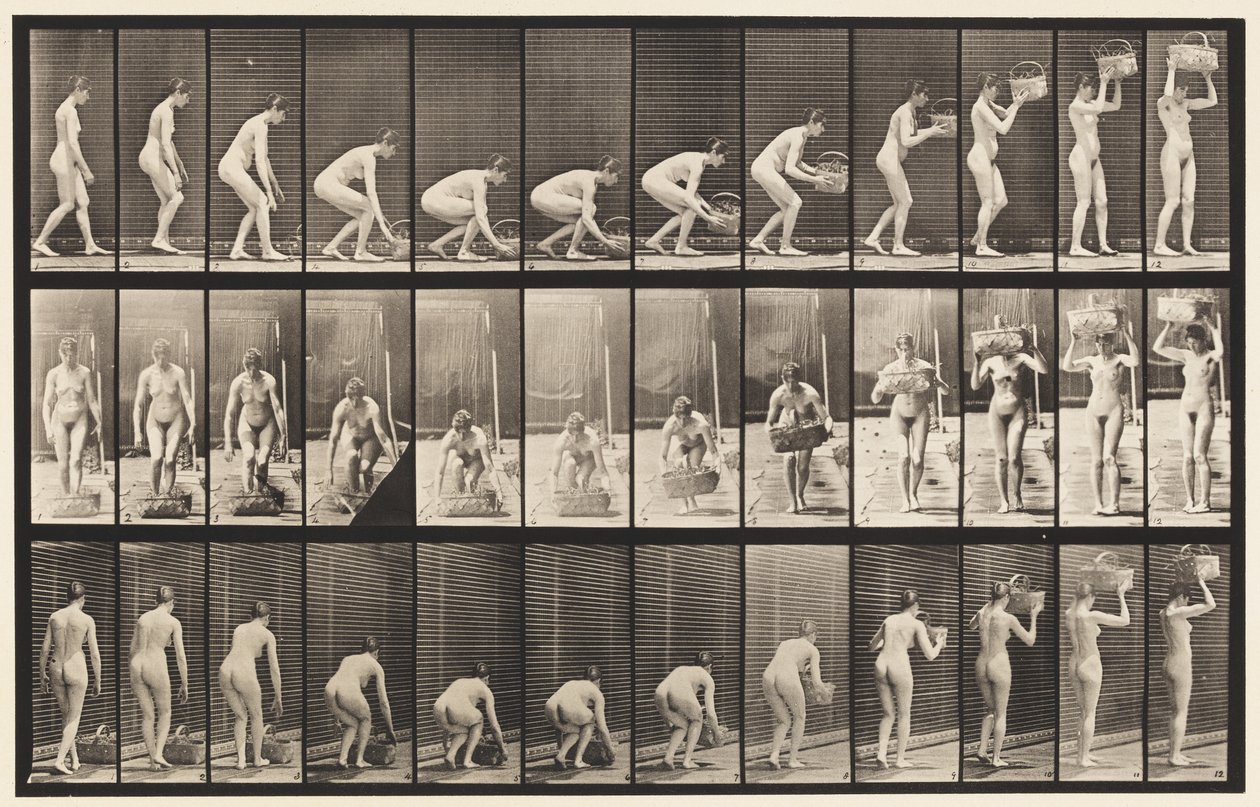 Talíř 221. Shýbání a zvedání koše o hmotnosti 12 lb k hlavě od Eadweard Muybridge
