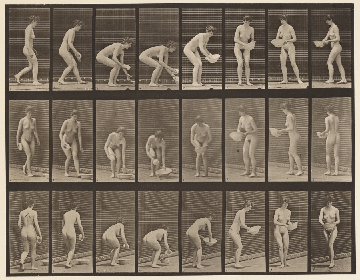 Talíř 223. Sklánění a zvedání mísy, otírání a otáčení, 1872-1885 od Eadweard Muybridge