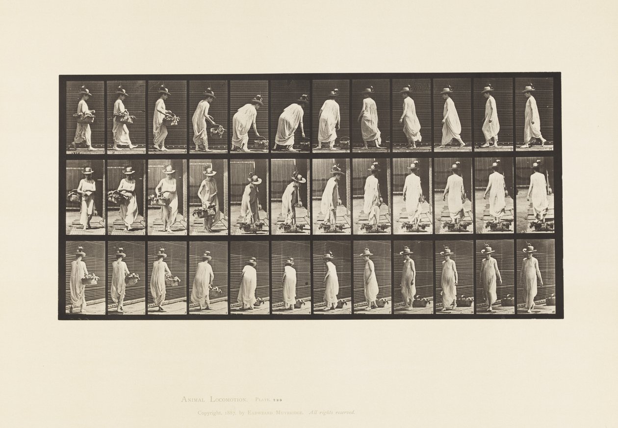 Talíř 229. Položení koše na zem a otočení od Eadweard Muybridge
