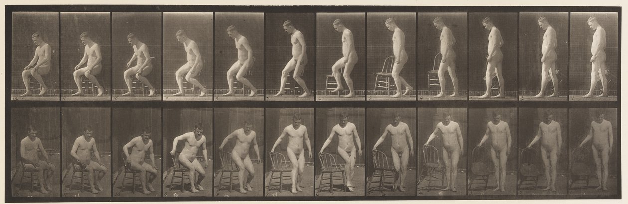Talíř 236. Umístění deníku a sezení, 1885 od Eadweard Muybridge
