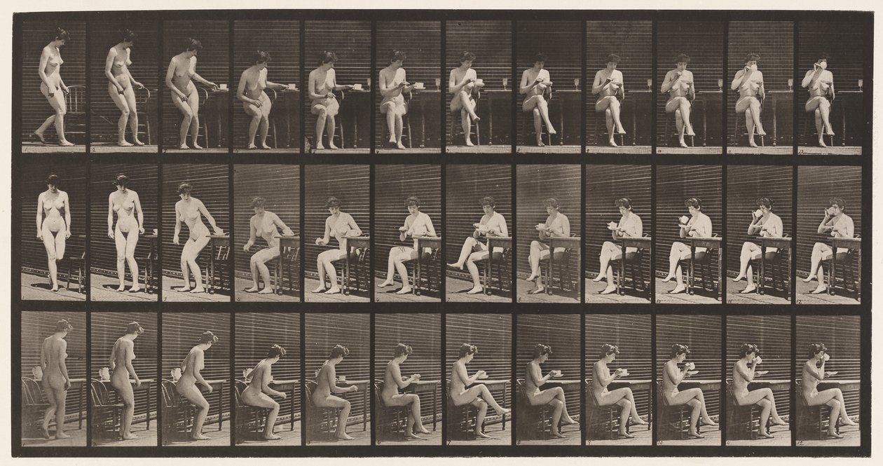 Talíř 238. Sedí na židli, překříží nohy, pije ze šálku čaje od Eadweard Muybridge