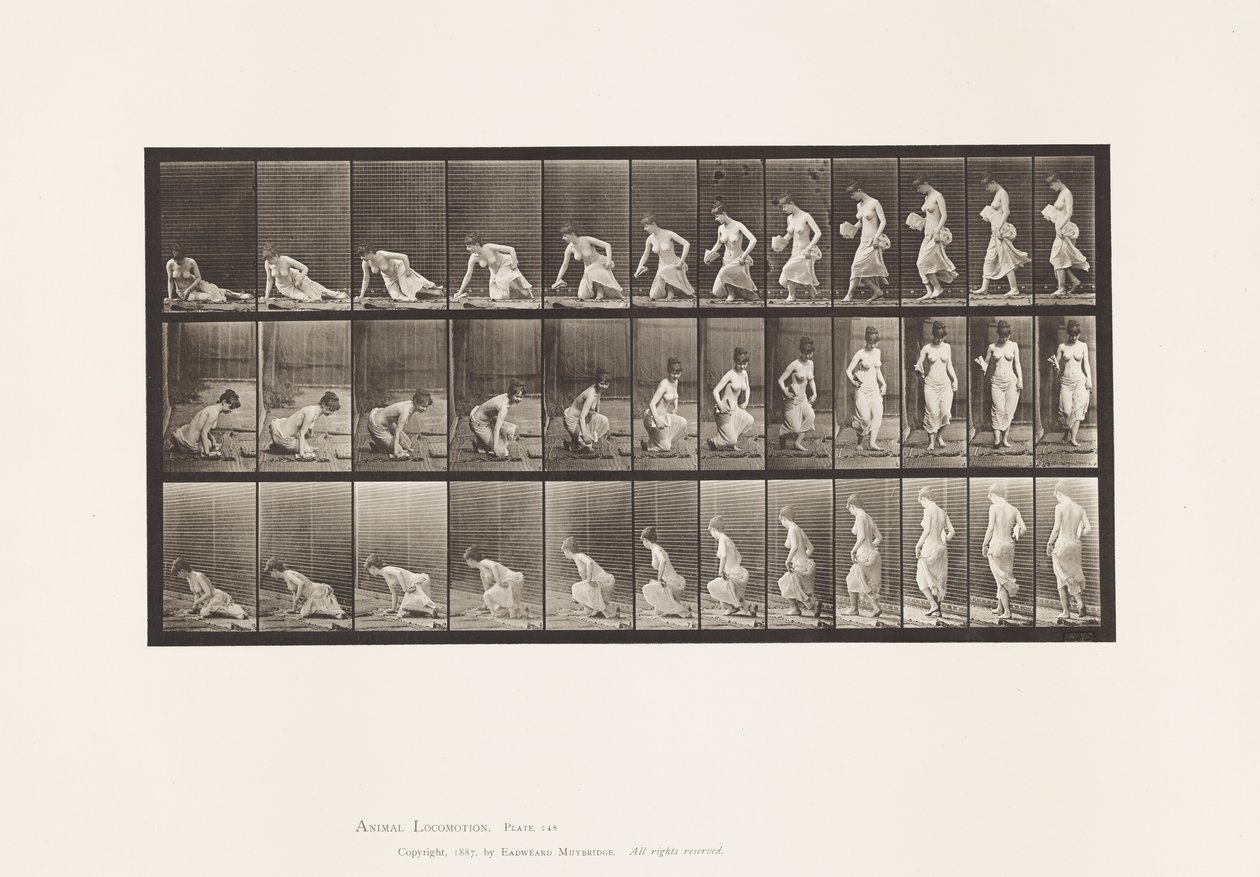 Talíř 248. Sedí na zemi od Eadweard Muybridge