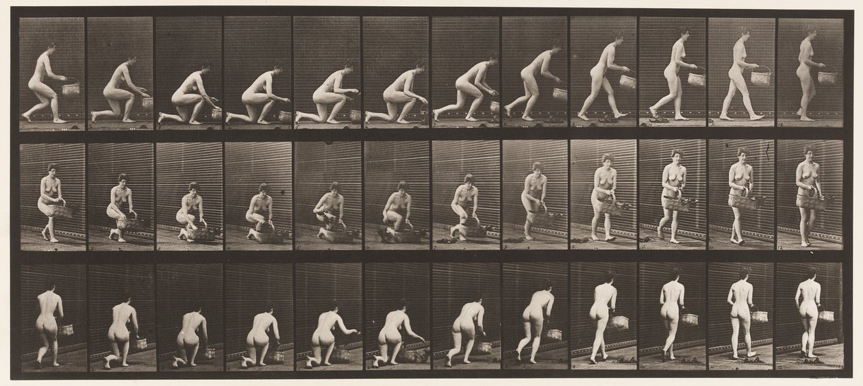 Talíř 251. Klečící na levém koleni, košík v levé ruce a vstávání, 1872-1885 od Eadweard Muybridge