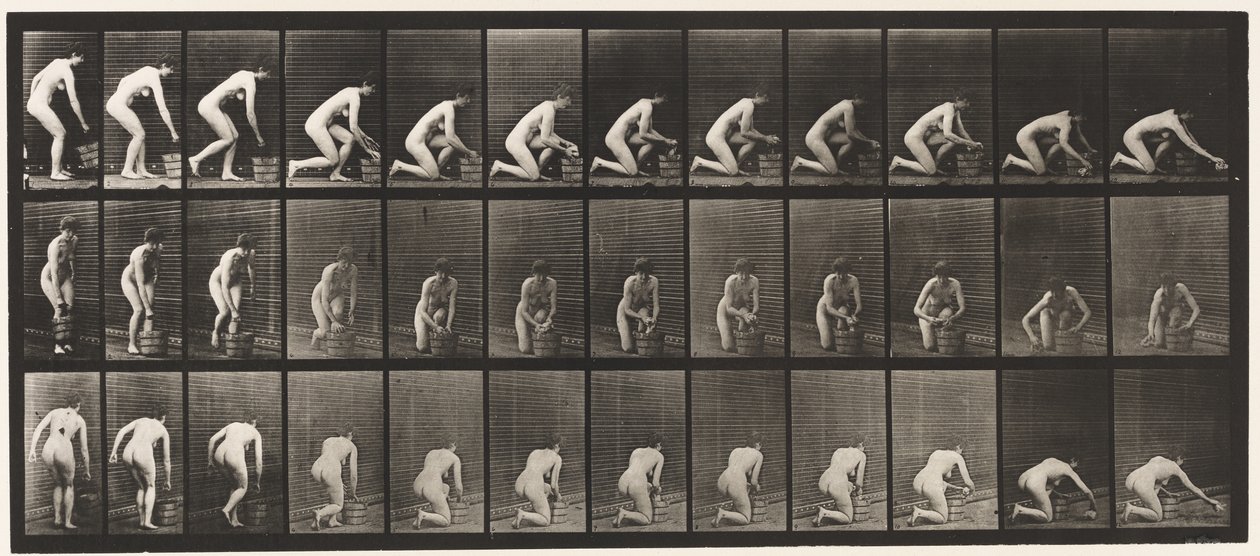 Talíř 252. Klečení na pravém koleni a drhnutí podlahy, 1872-1885 od Eadweard Muybridge