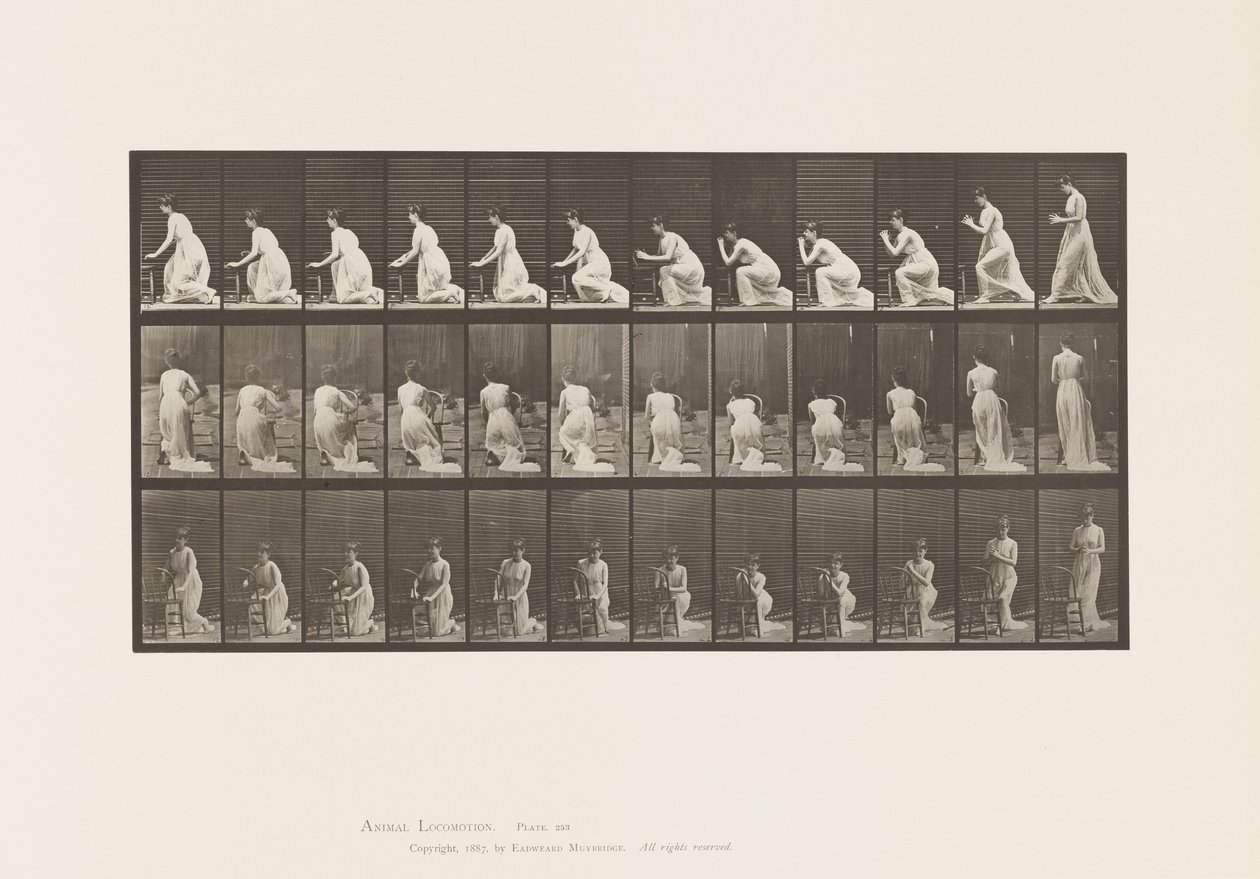 Talíř 253. Klečící lokty na židli, sepjaté ruce, 1885 od Eadweard Muybridge
