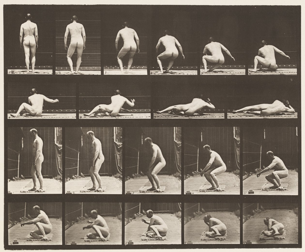 Talíř 257. Ležící na zemi, 1885 od Eadweard Muybridge