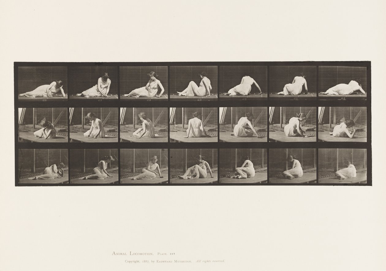 Talíř 267. Otáčení a změna polohy na zemi, 1885 od Eadweard Muybridge