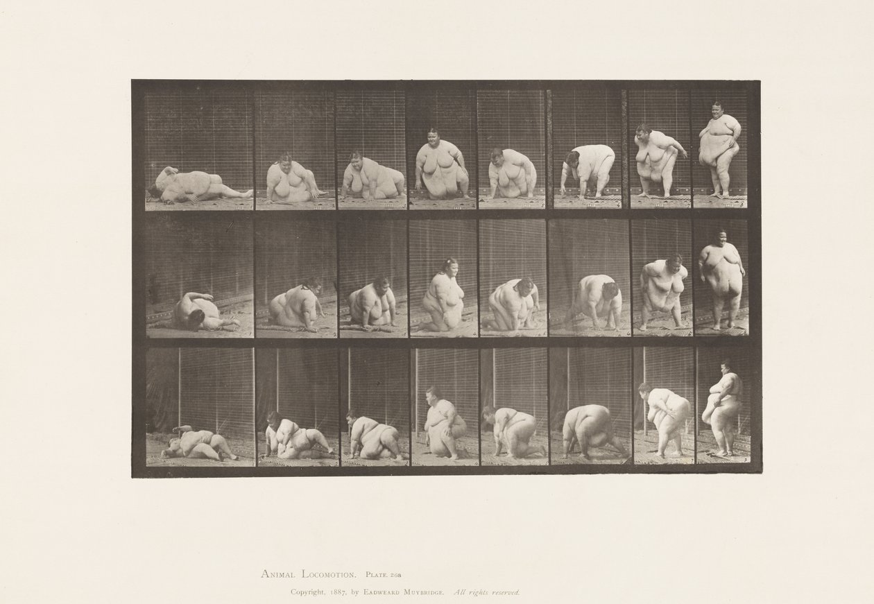 Deska 268. Vyvstávající ze země, 1885 od Eadweard Muybridge