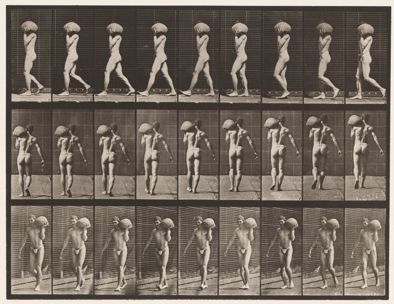Talíř 26. Chůze, nošení 75-lb kamene na levém rameni od Eadweard Muybridge