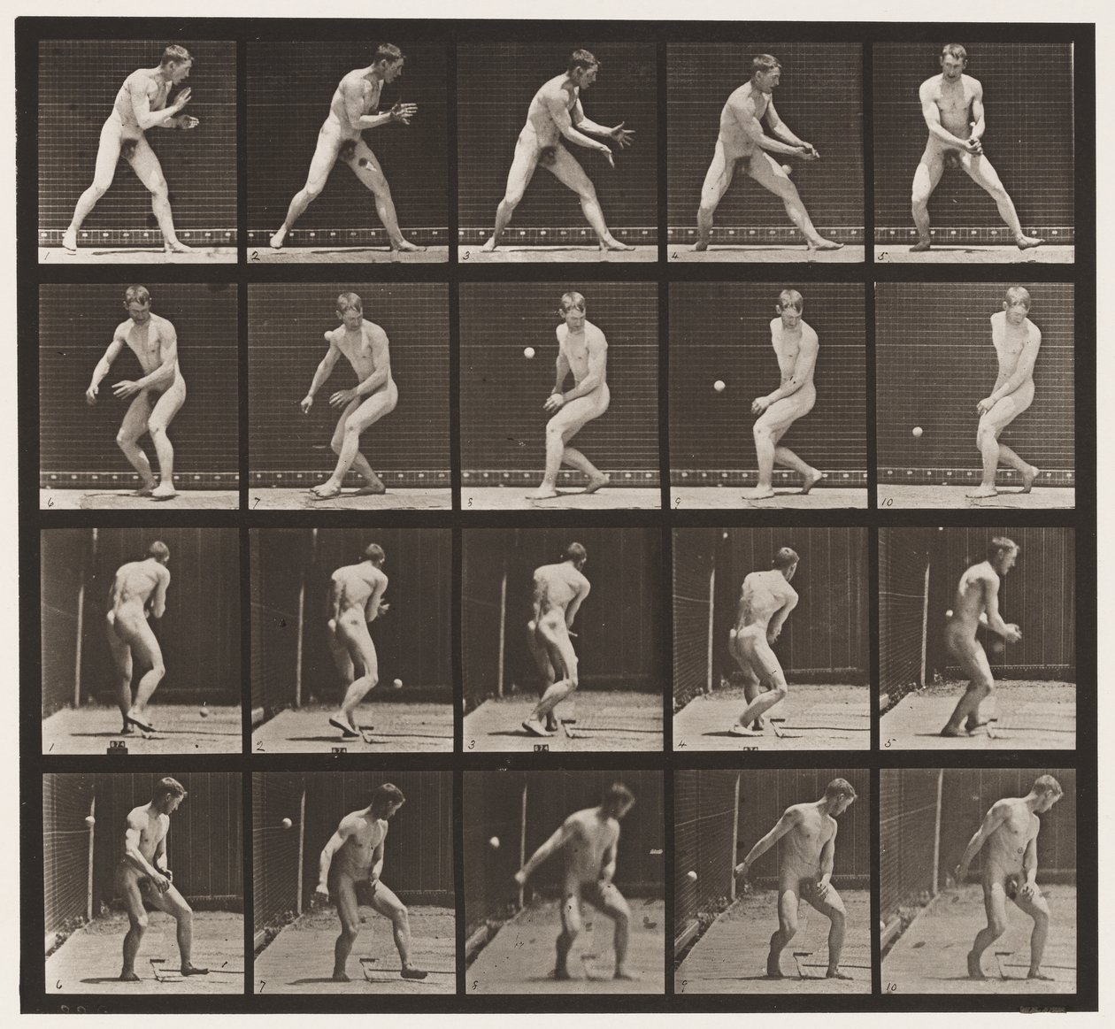Talíř 288. Base-ball; Chyba od Eadweard Muybridge