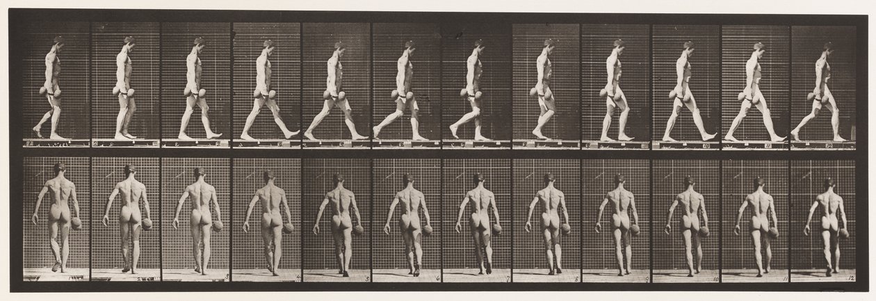 Talíř 28. Chůze, nesoucí 50 lb. Dumb-Bell v pravé ruce, 1872-1885 od Eadweard Muybridge